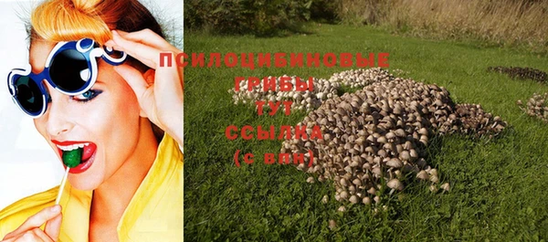 крисы Армянск