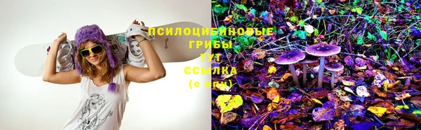 крисы Армянск