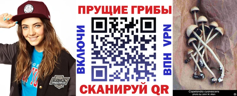 Псилоцибиновые грибы GOLDEN TEACHER Кирово-Чепецк