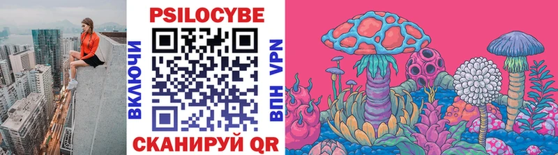 сколько стоит  Кирово-Чепецк  Псилоцибиновые грибы Psilocybe 